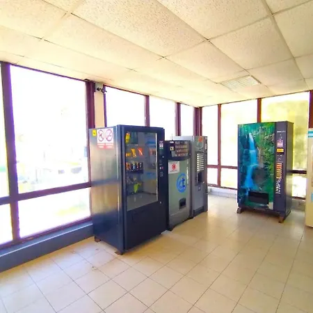 Rentenerife Canary Oasis Agarimo