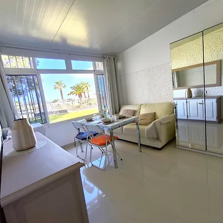 Rentenerife Canary Oasis Agarimo *