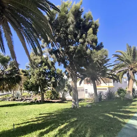 Rentenerife Canary Oasis - Agarimo 公寓