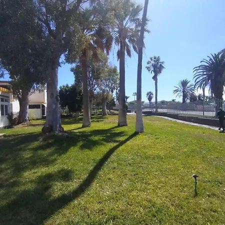 Rentenerife Canary Oasis - Agarimo 公寓 德尔锡伦西奥海岸