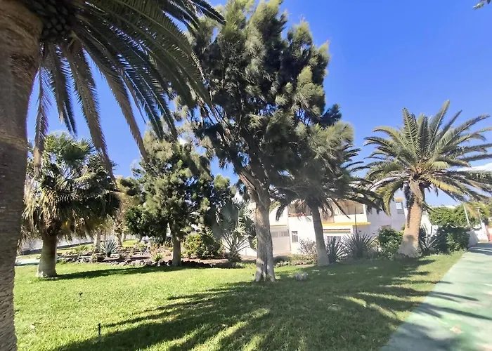 Rentenerife Canary Oasis - Agarimo Apartman