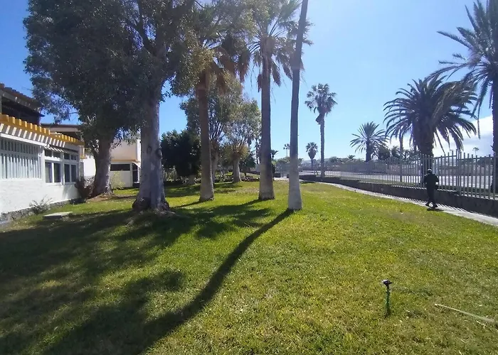 Rentenerife Canary Oasis - Agarimo Apartman Costa Del Silencio